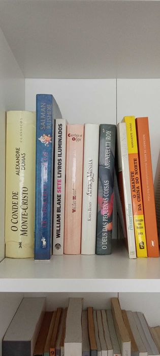 Livros (+ de 300) de ficção portuguesa e estrangeira