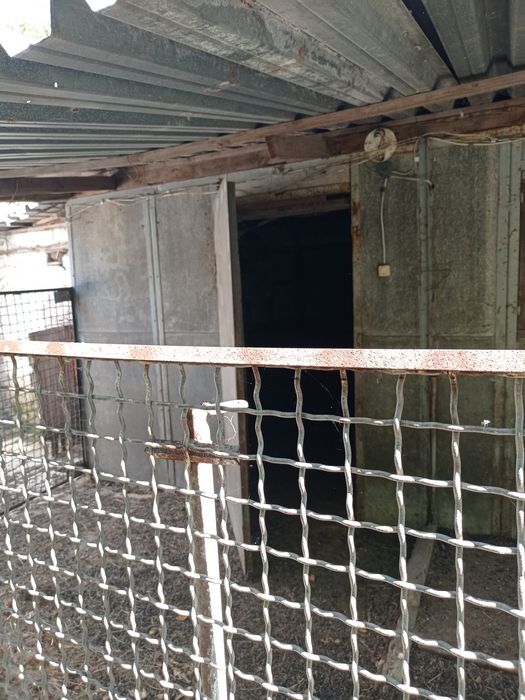 Солнце  Свежий Воздух И Река