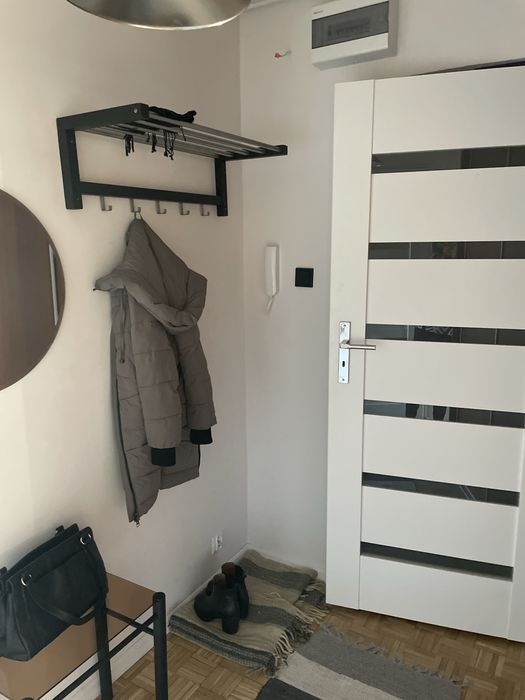 Mieszkanie 48,8 do  wynajecia