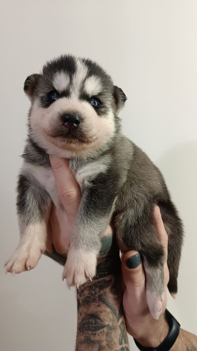 Ось такий хлопчик та дівчинка