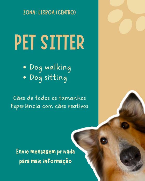 Pet sitting - Dog walking (Lisboa)