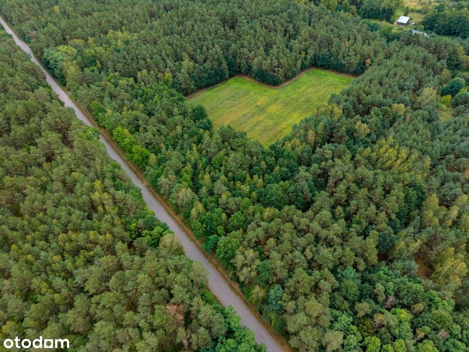 Otulona lasem – wyjątkowa działka 1,35 ha