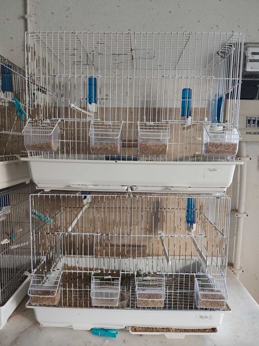 Gaiolas viveiro duplo 60cm