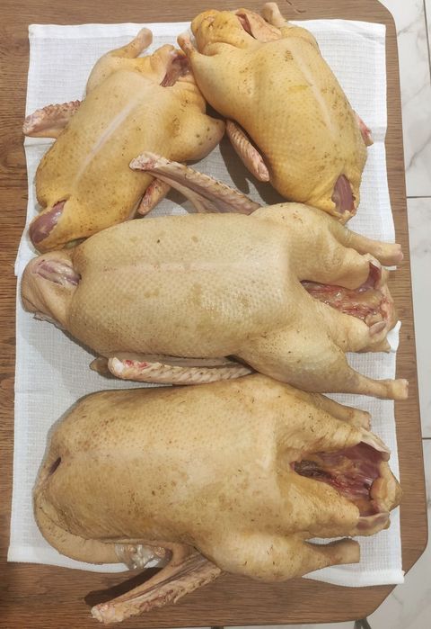 Продам м'ясо гусей і качок
