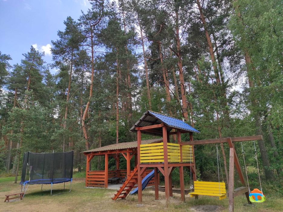 Domki Nad Tanwią, całoroczne z kominkami w sosnowym lesie na Roztoczu.