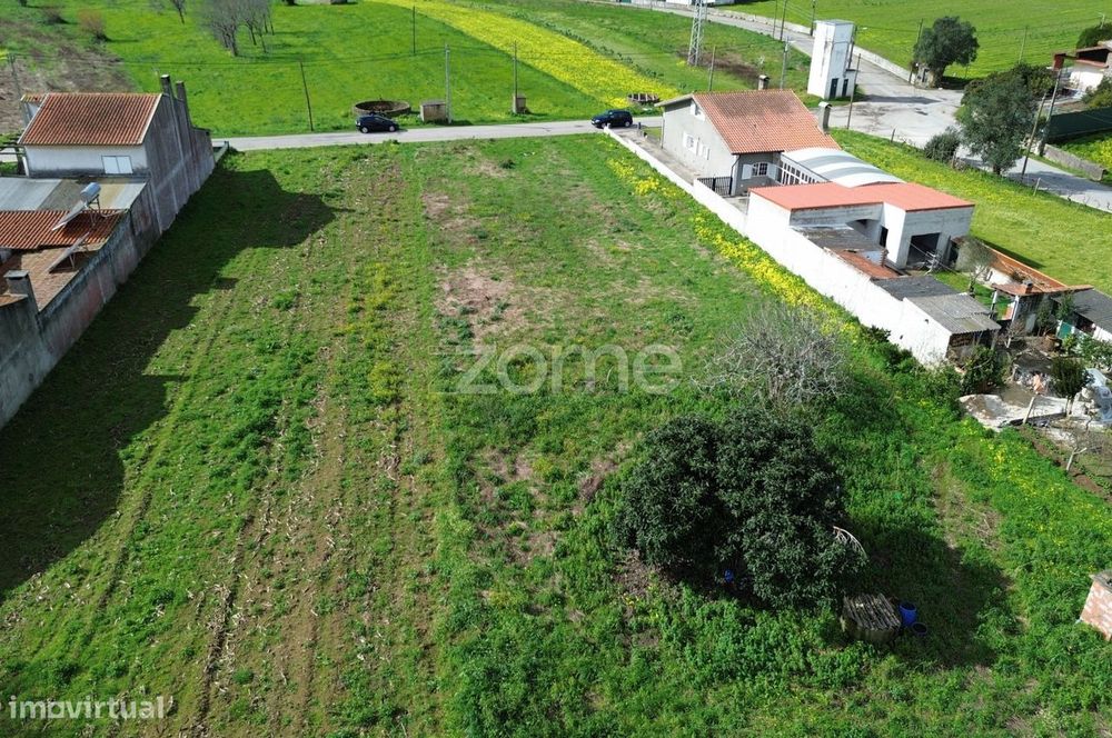 Terreno para moradia isolada ou 2 moradias geminadas_1900m2_Vagos
