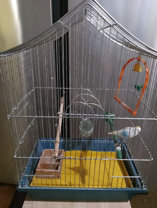 Велика клітка для папуг, за супер ціною! Простора, в гарному стані.