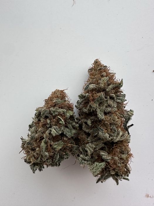 Susz CBd, cbg konopne