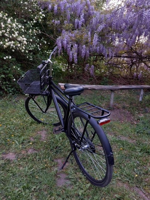Rower Holenderski Altec /Zamiana