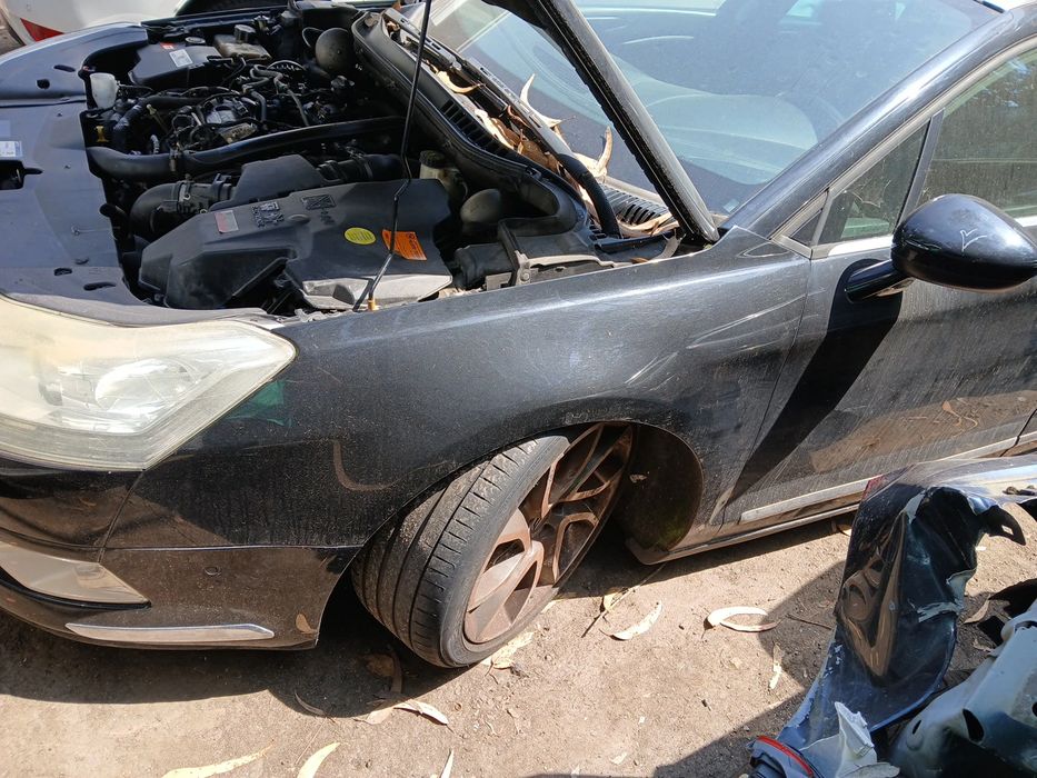 Guarda-lamas esquerdo CITROËN C5 III Break (RW_)