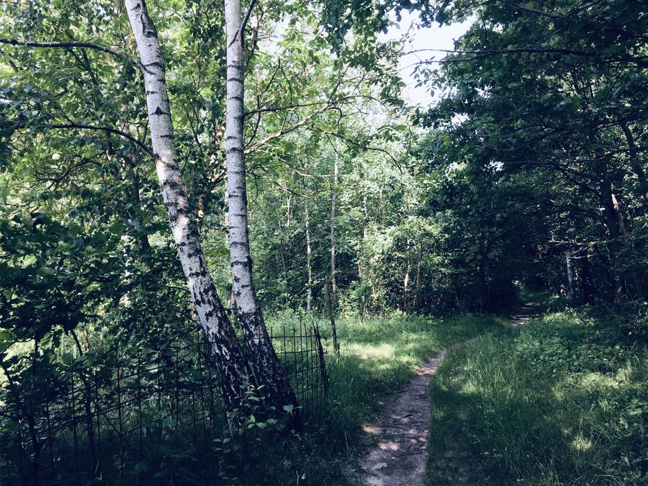 Земельна ділянка в Лісі 18сот. с.Вишнів, 10км.- Луцьк