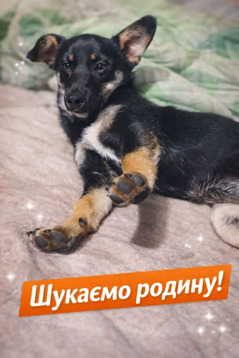 Маленька дівчинка: 1 рік, 5 кг