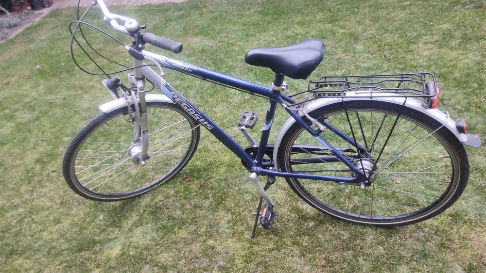 Rower Pegasus Milano