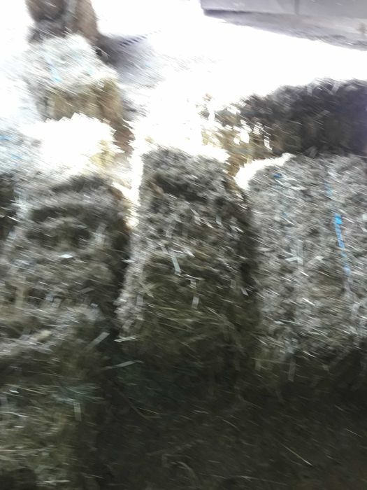 Fardos de feno de boa qualidade