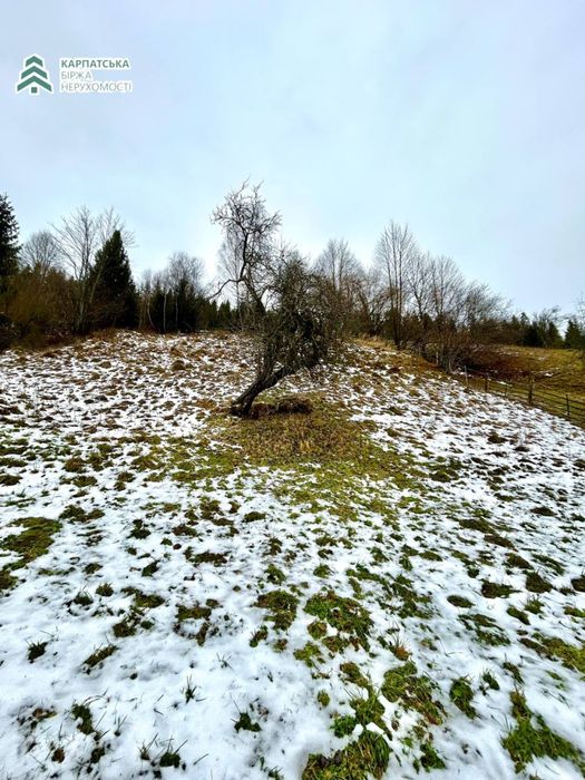 Земельна ділянка поруч з туристичним комплексом Озера Віта  Закарпаття