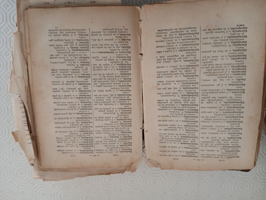 Dicionário de Língua Portuguesa