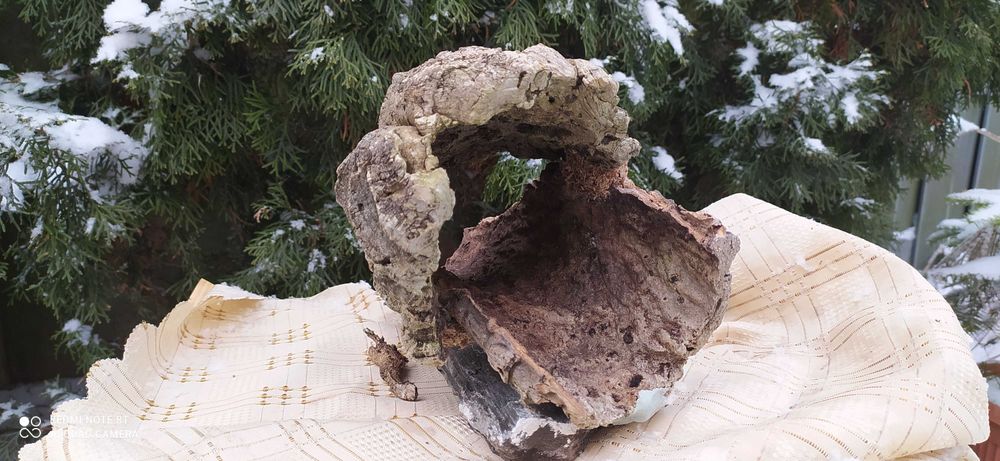 Grota z debu korkowego do terrarium