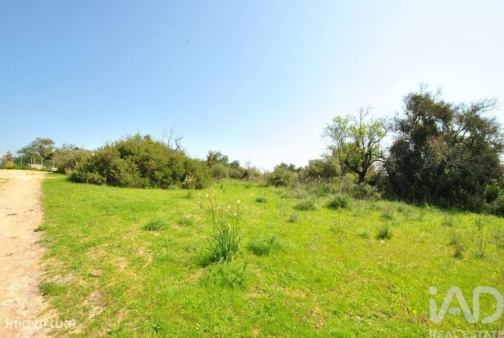 Terreno Agrícola em Paderne