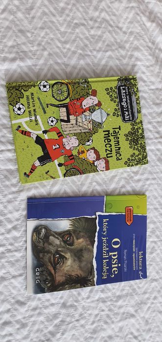 O psie ktory jeżdził koleją  laktura, Tajemnica meczu