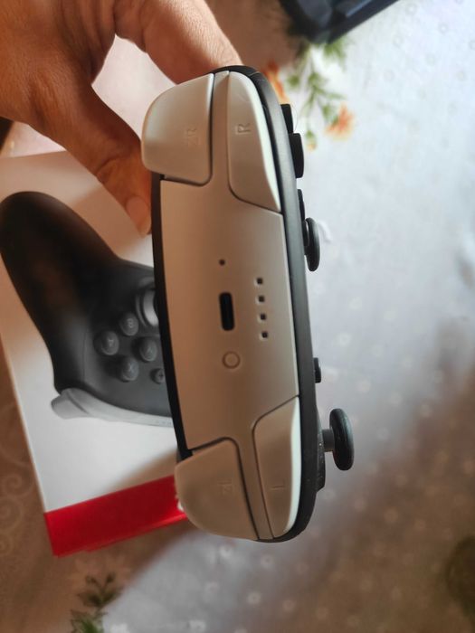 Switch 2 pro controller