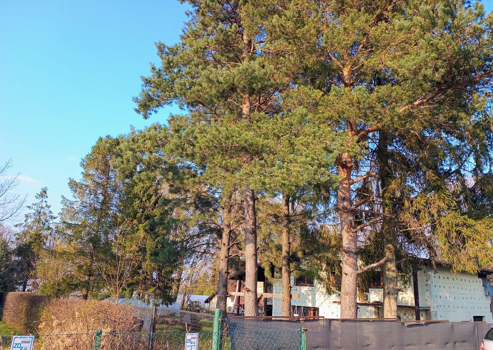 Działka ok. 13ar z widokiem na góry | Wapienica | WZ | media | budynek