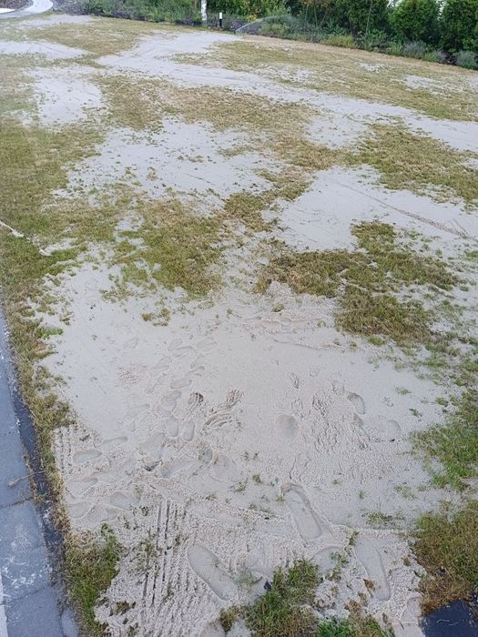 Piasek płukany do trawnika, piaskownica