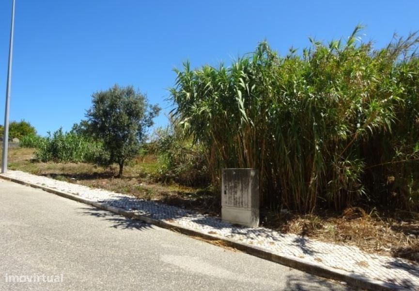 Terreno com Loteamento Aprovado para 38 Fogos na Figueira da Foz