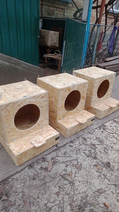 гніздо для курей з яйцезбірником