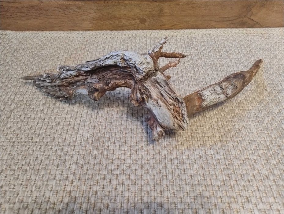 Duży korzeń do terrarium/akwarium