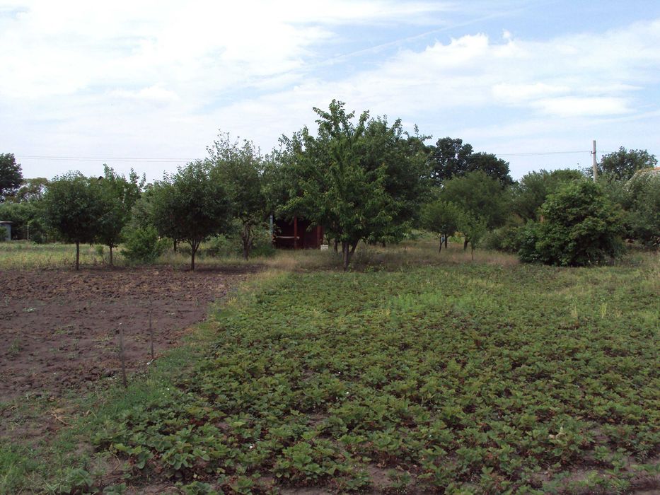 Продам дом в живописном месте