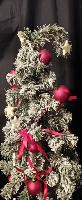 Choinka na pniu  120