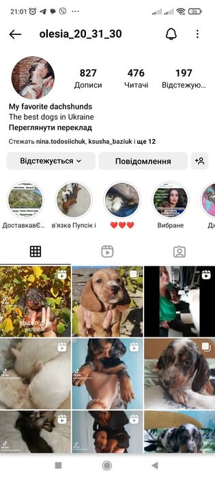 Руді дівчатка і хлопчики
