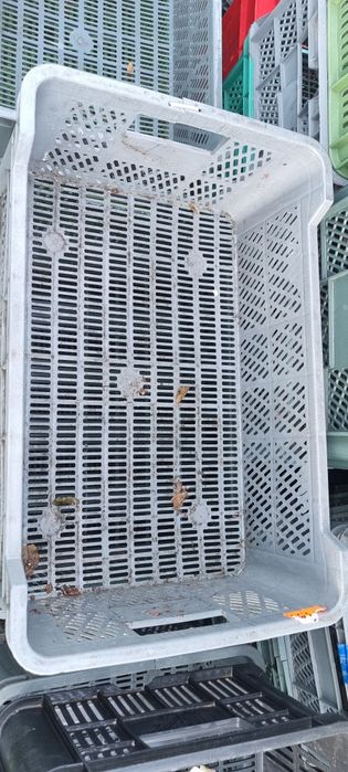 Skrzynki plastikowe na owoce / warzywa itp