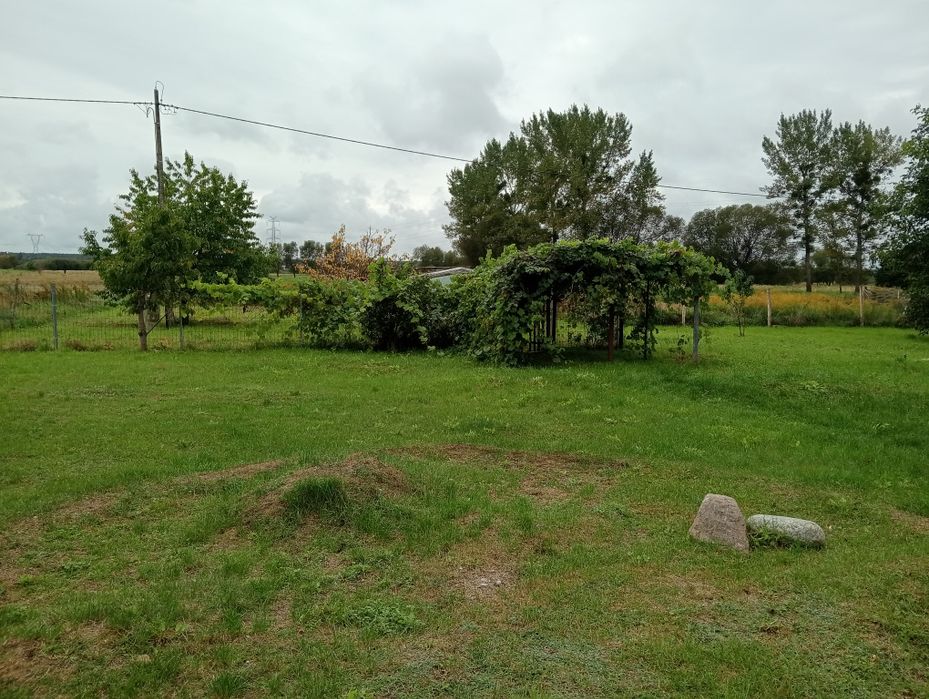 Sprzedam gospodarstwo rolne