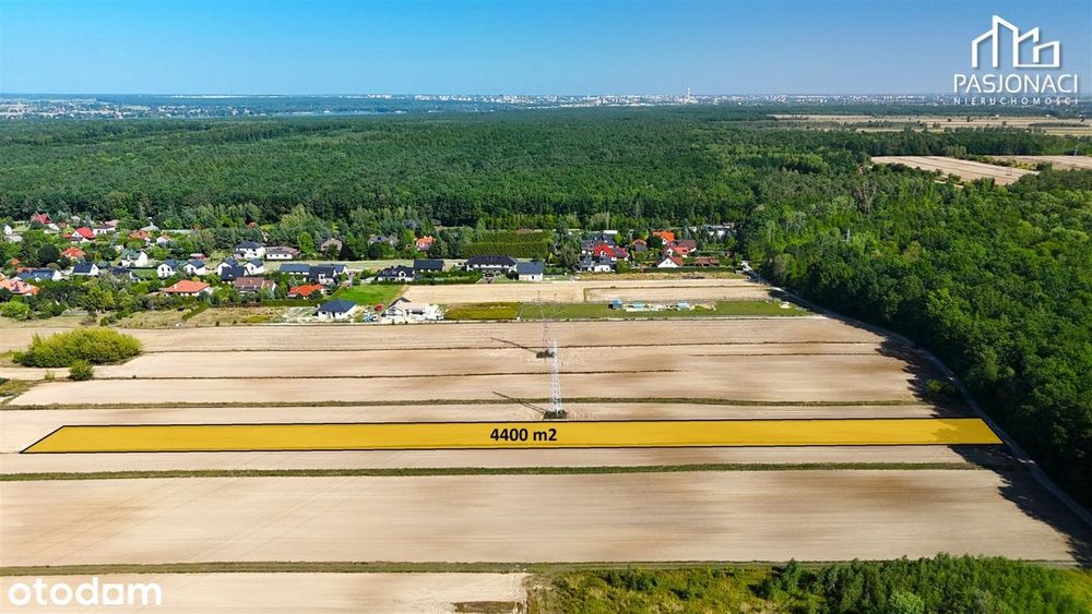 Działka rolna Prawiedniki-Kolonia - 4400 m² - Widok 3