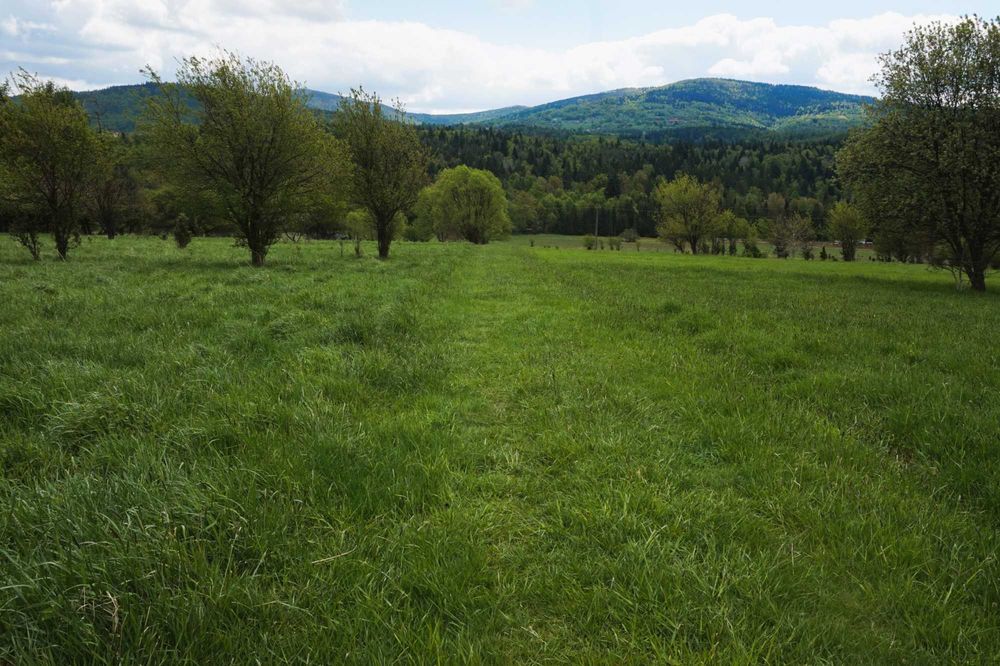 Widokowa działka budowlana - Hucisko (Stryszawa, pow. Suski) 10.11 ar - Widok 4