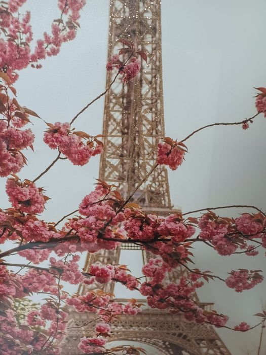 Eiffel Tower Canvas429128358445066241