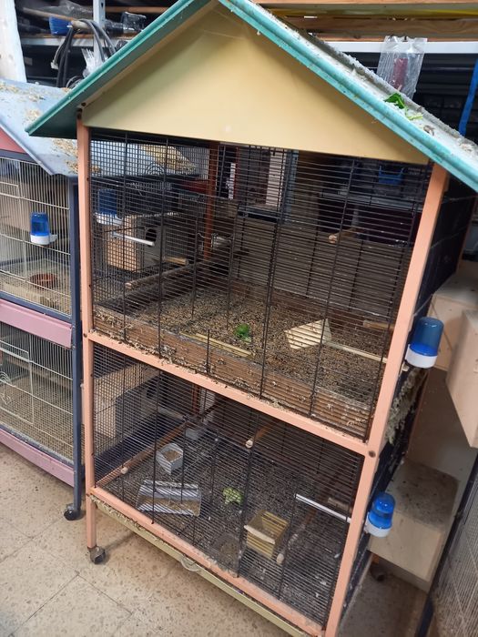 Viveiros vários com divisória