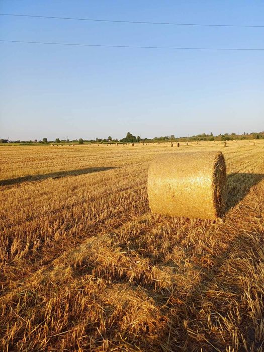 Продам солому в тюках