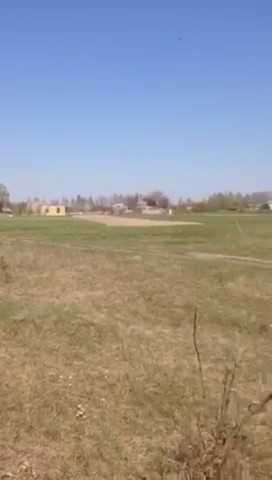 Рудня  земля 65 соток .