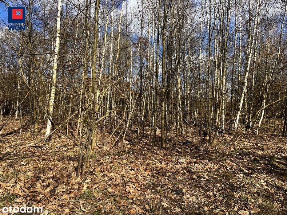 Działka budowlana w Kłodzku, na Owczej Górze. - More