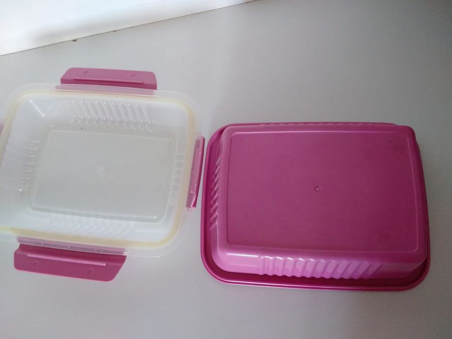 Two-compartment Tupperware lunchbox.441133393480273922