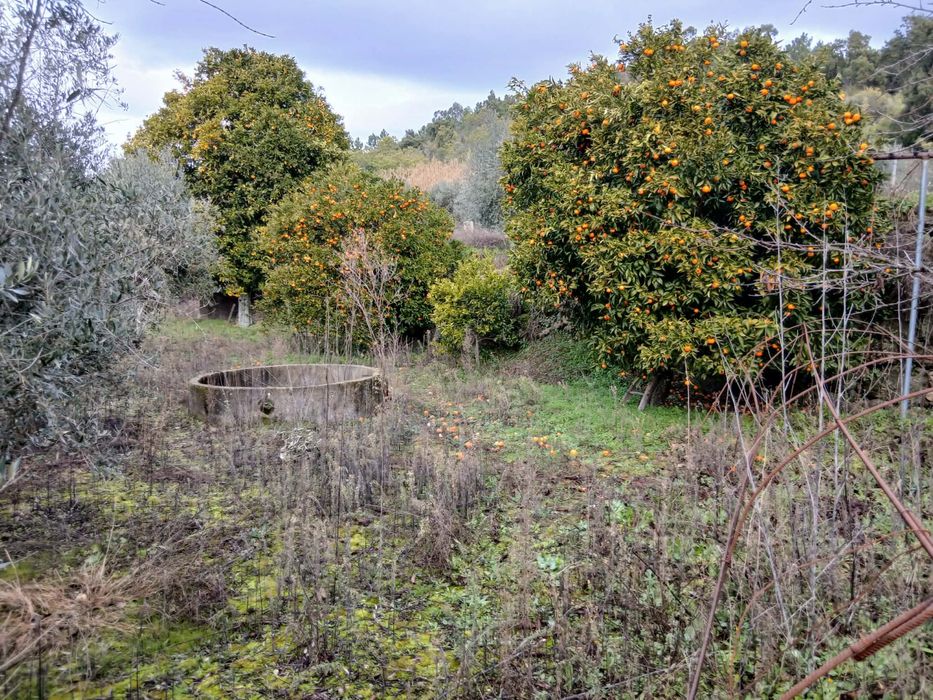 Quinta agricula com barracao