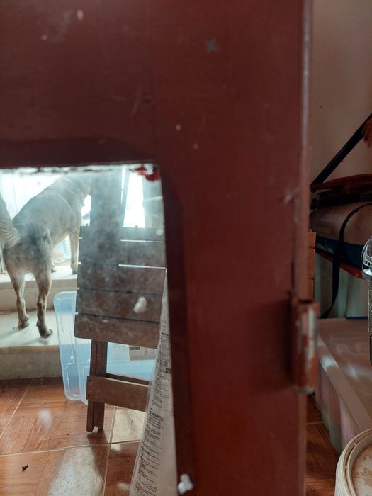 Conjunto janelas64585409915651121