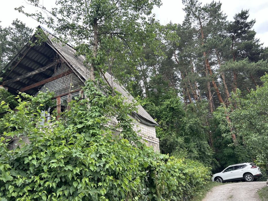 Дача під самим лісом