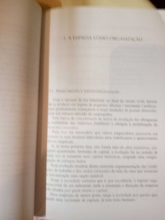 Organização e Desenvolvimento de Empresas