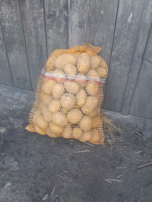 Ziemniaki Vineta Soraja