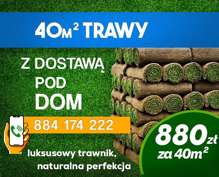 Trawa z rolki – świeża, gęsta i gotowa do ułożenia!