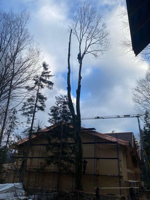 Зрізання та обрізка дерев,зрізка аварійних,заввиших дерев,