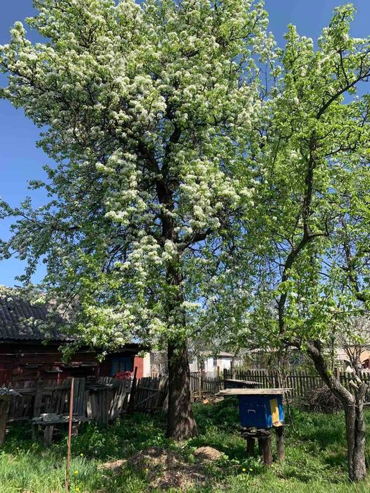 Продаю Будинок (р-он Вокзал )